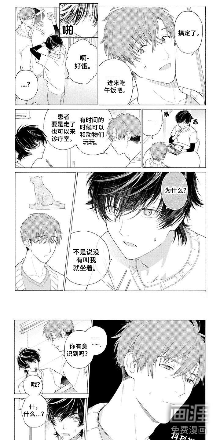 第4章：看门犬
