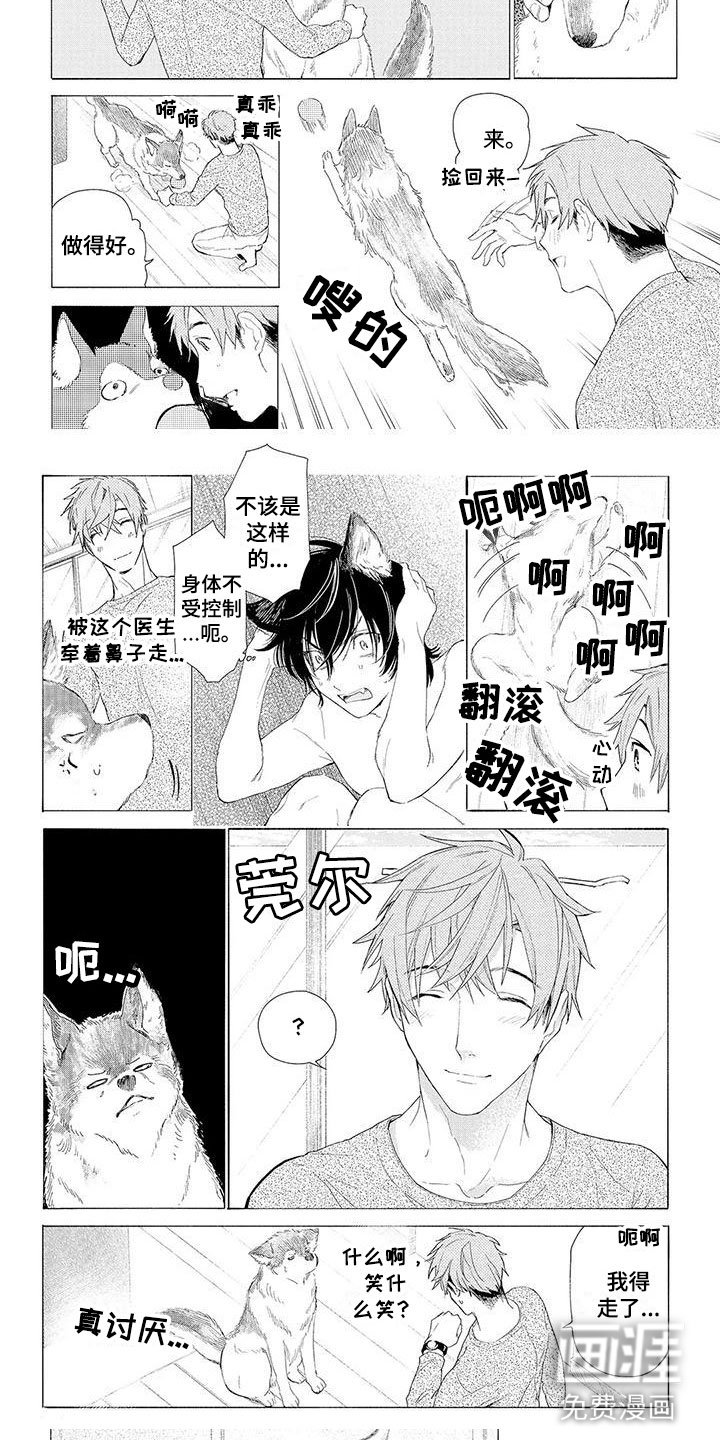 第9章：遛狗