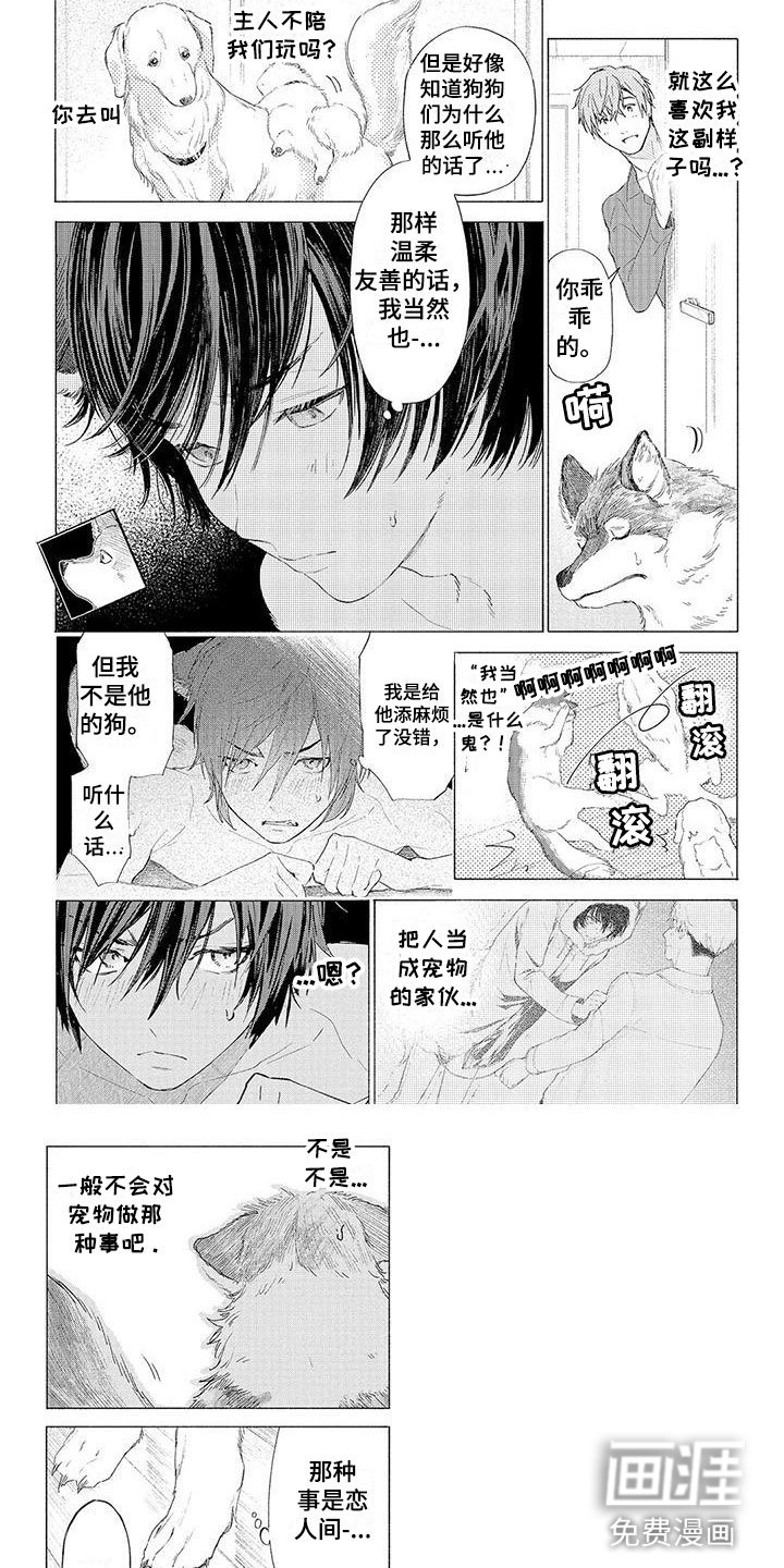 第9章：遛狗