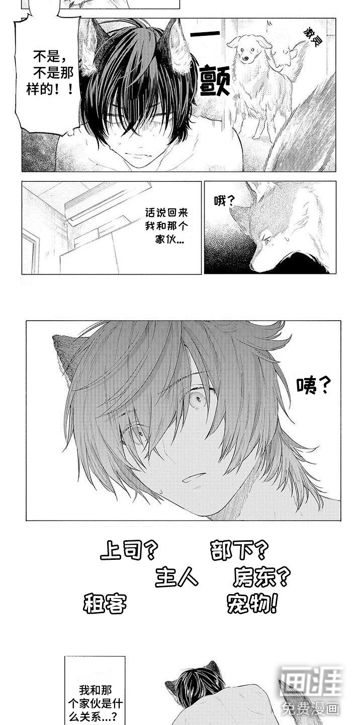 第9章：遛狗