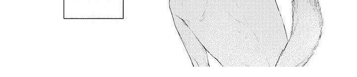 第9章：遛狗