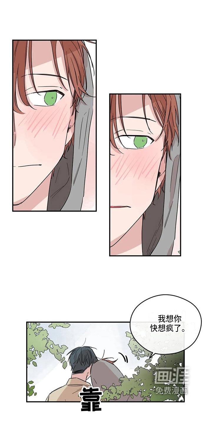 第12章：想念
