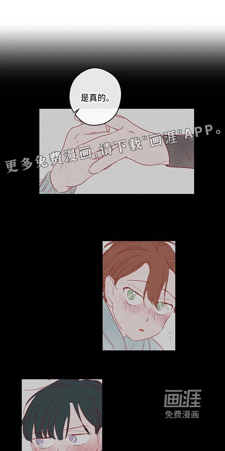 第34章：归属