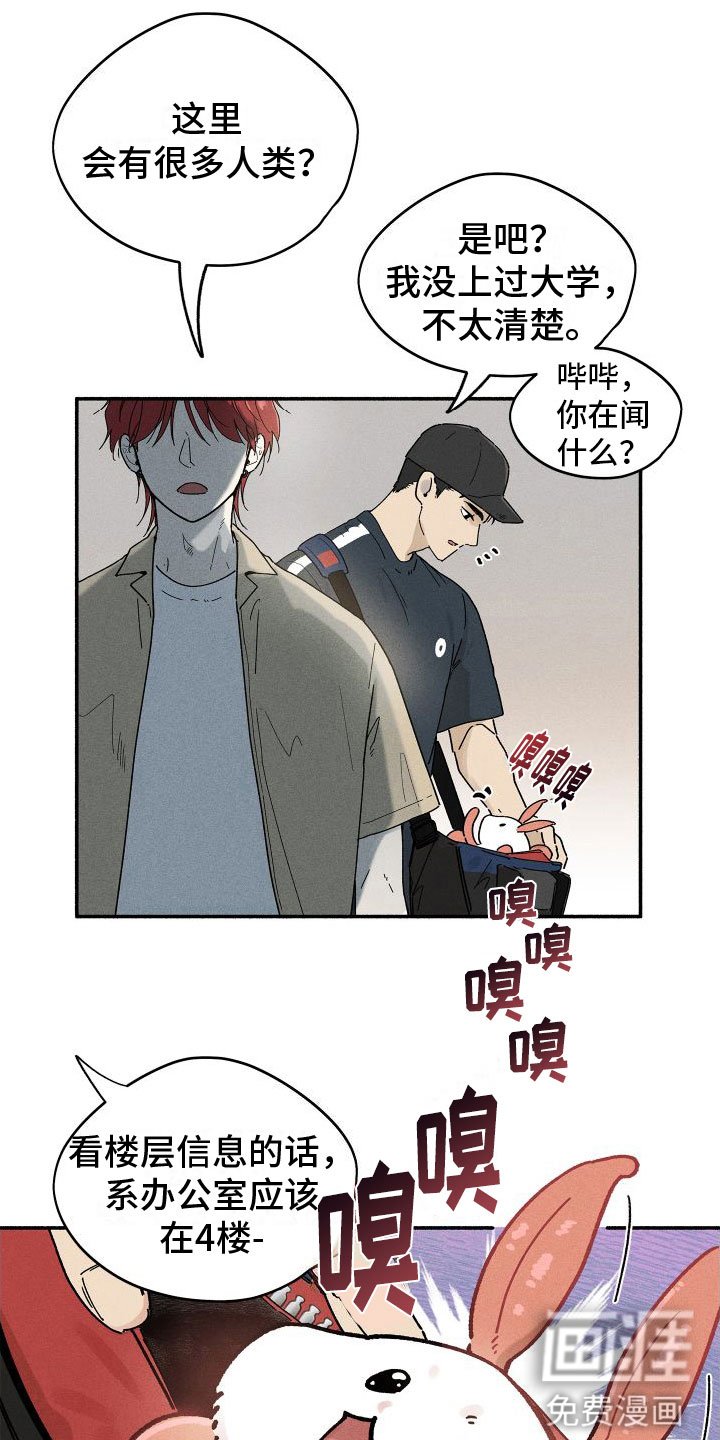 第10章：入柜