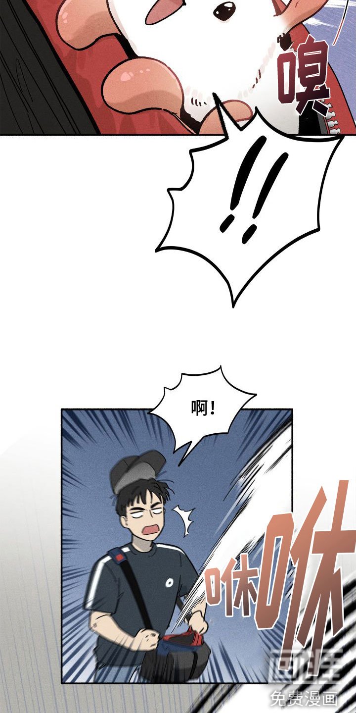 第10章：入柜