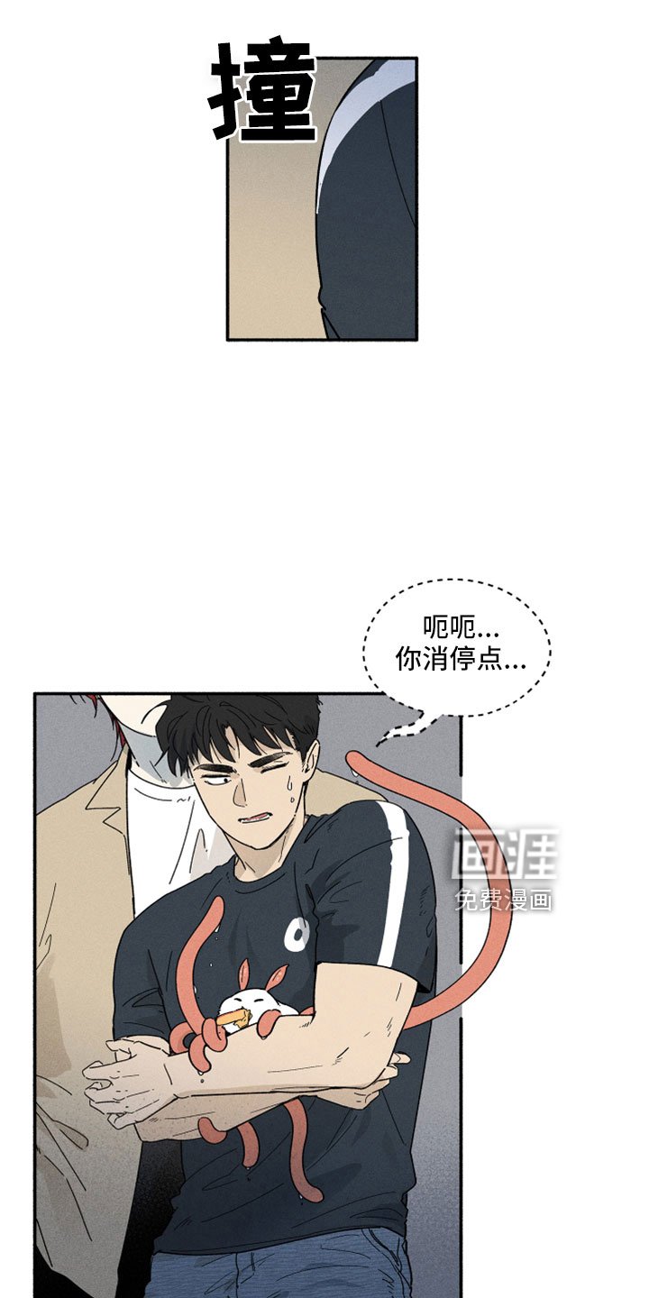 第11章：看着很温暖