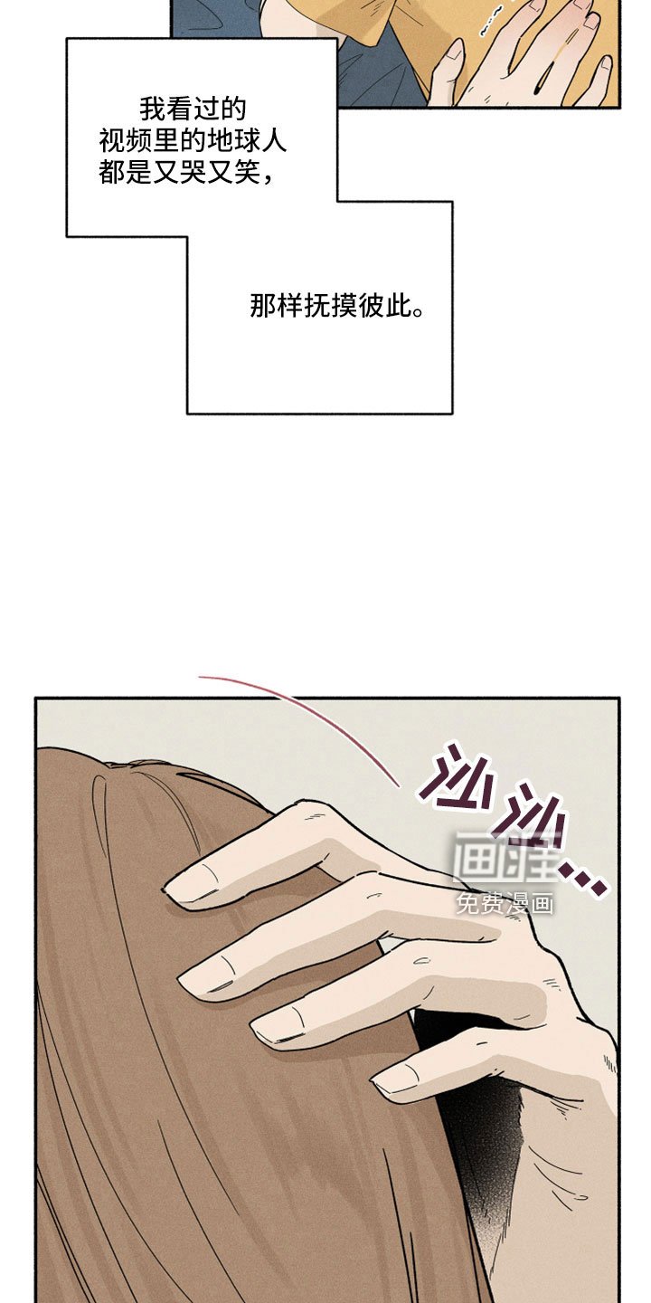 第11章：看着很温暖