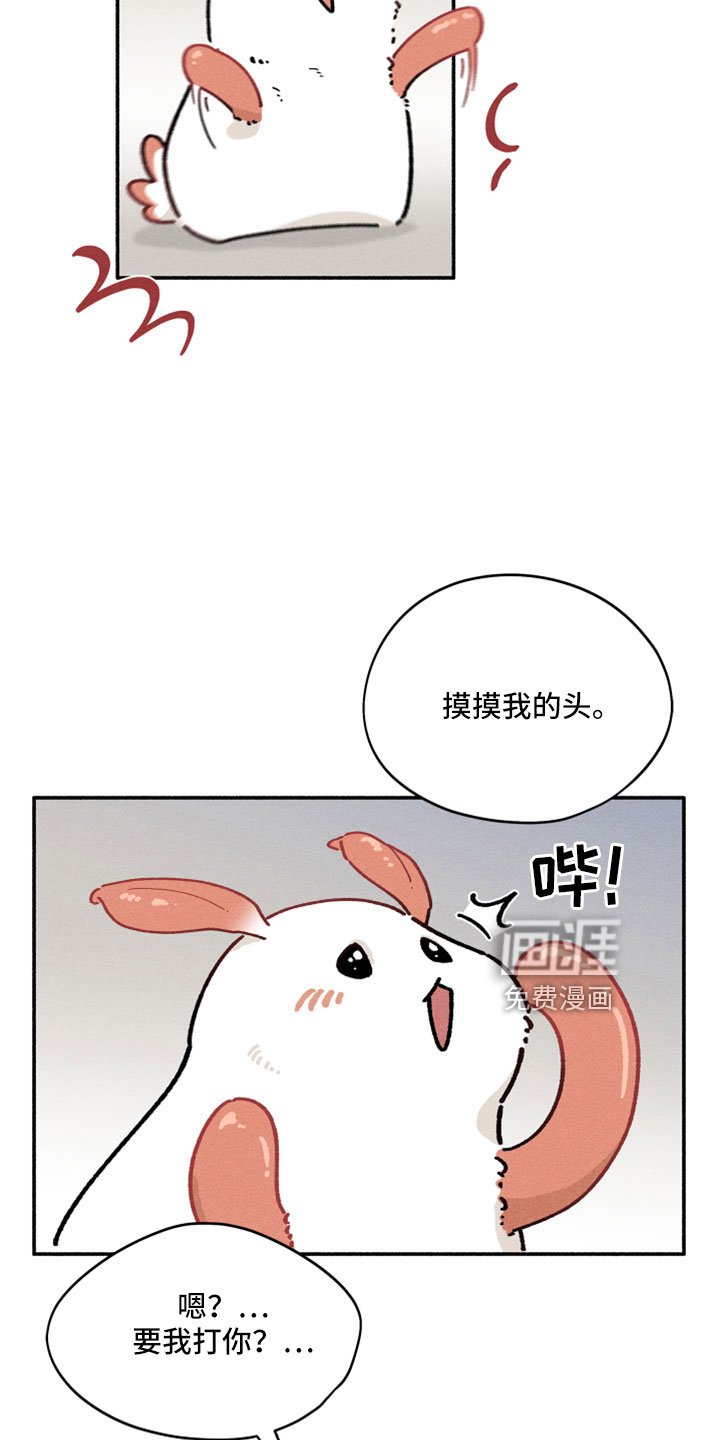 第13章：按我说的来