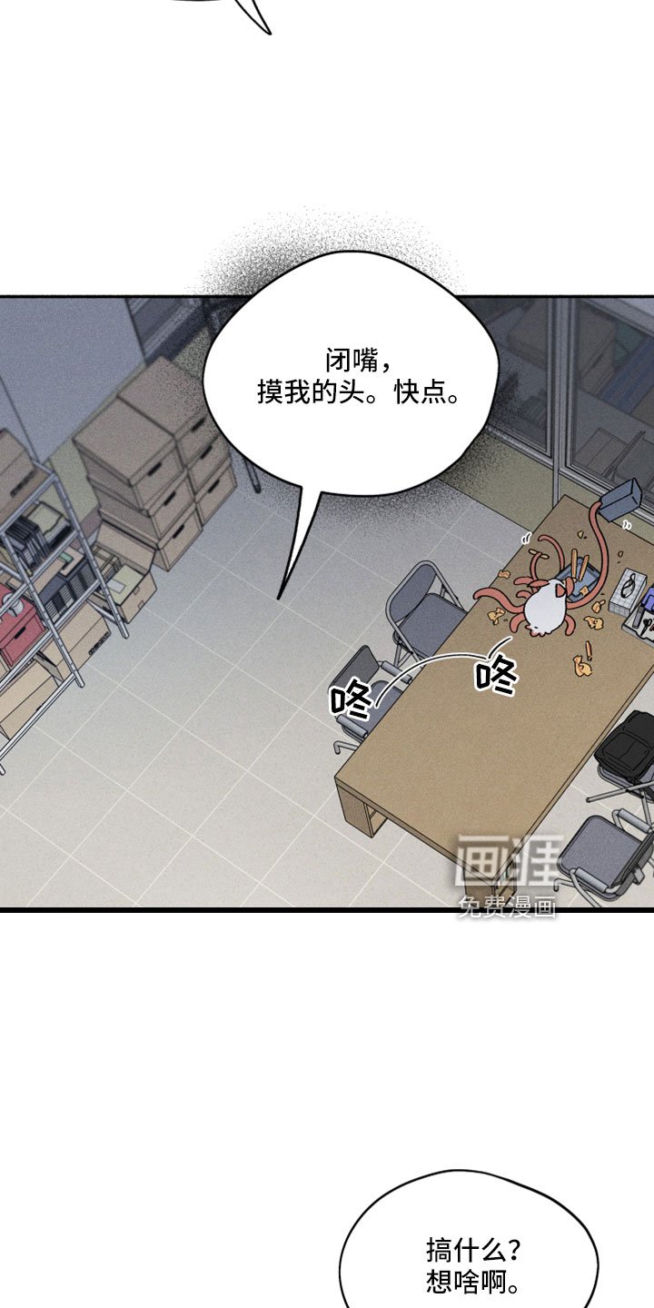 第13章：按我说的来
