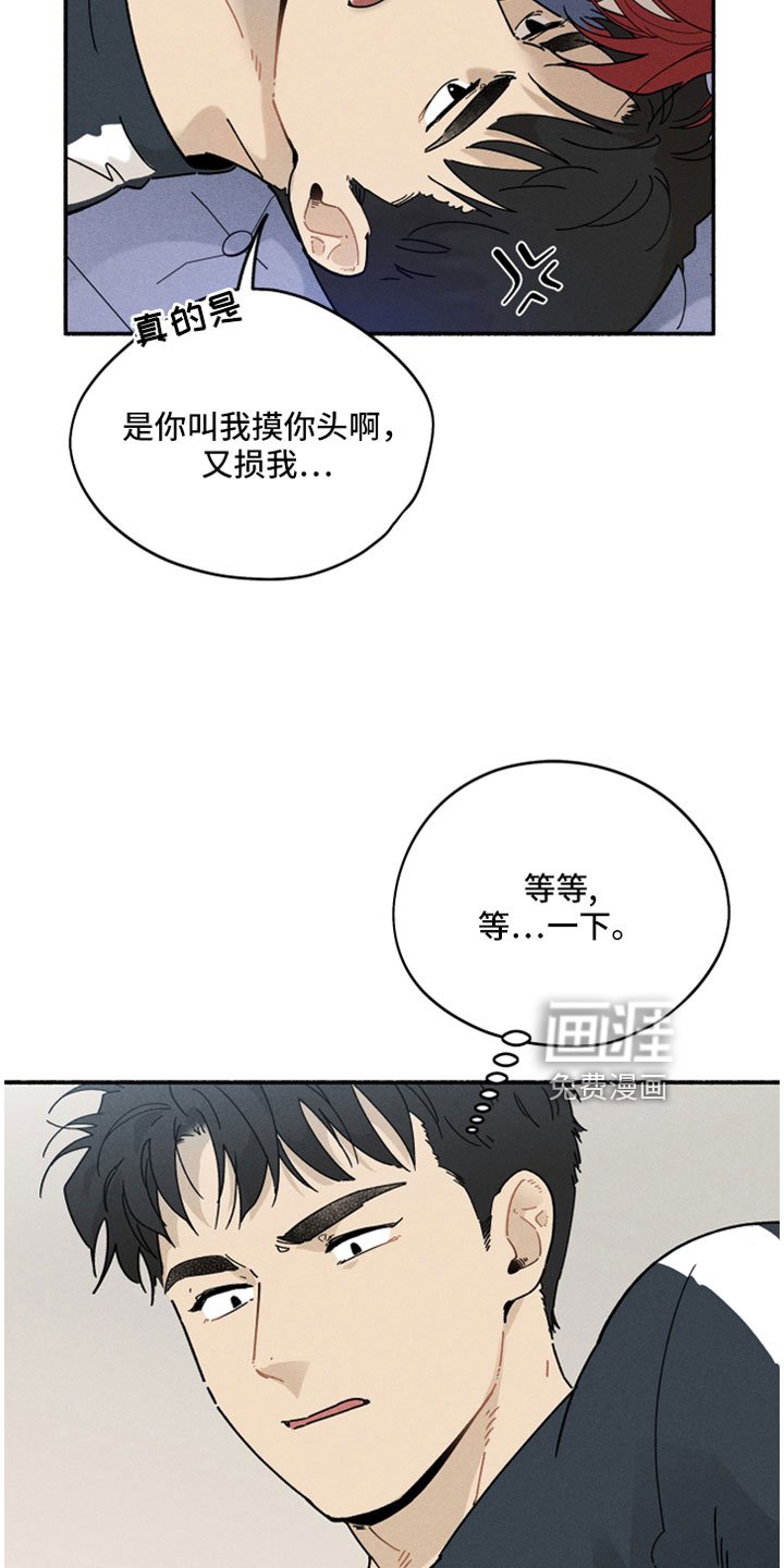 第13章：按我说的来