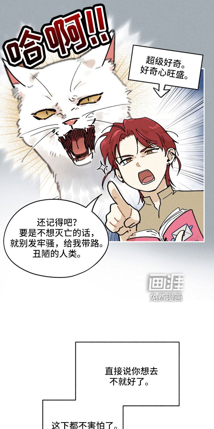 第19章：没忘记吧