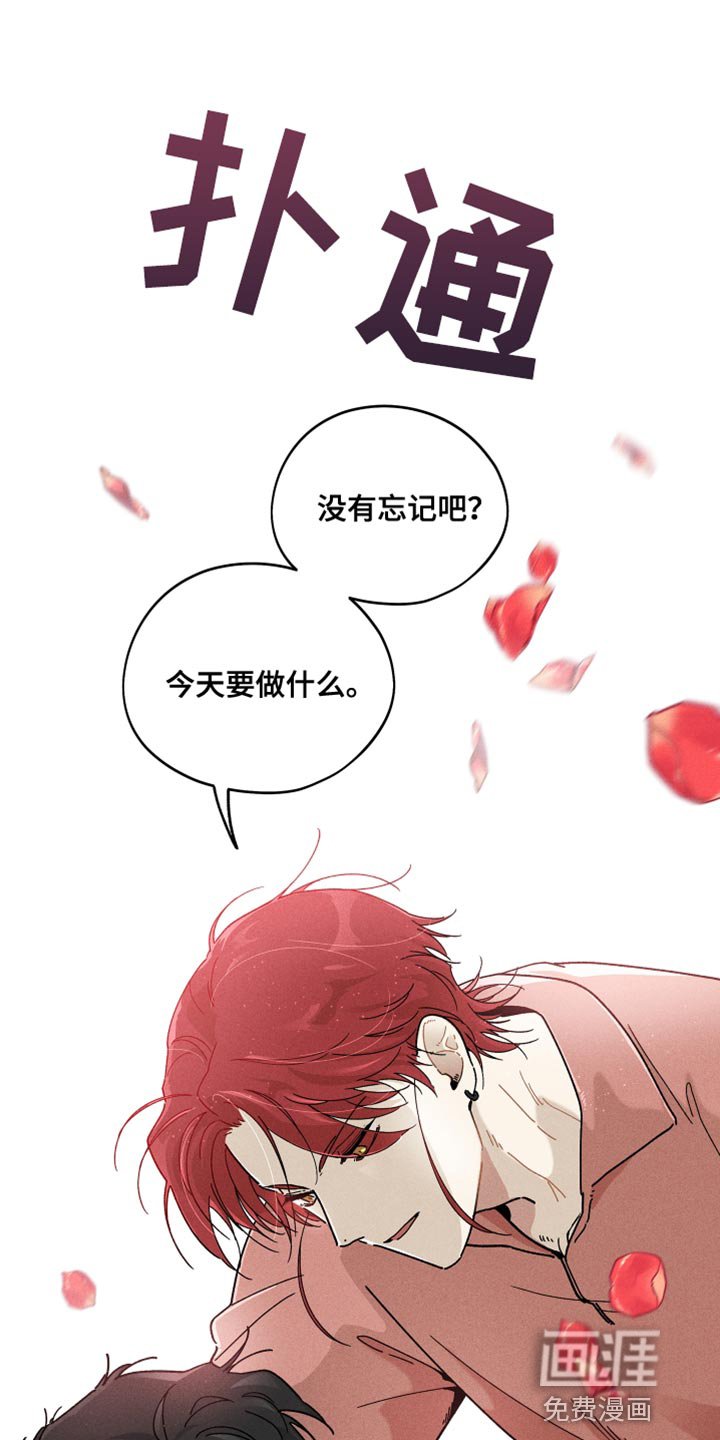 第20章：尝试中