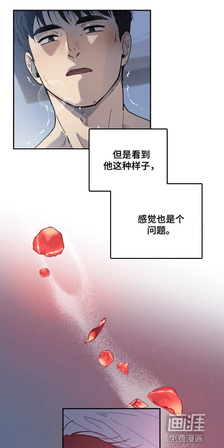 第20章：尝试中