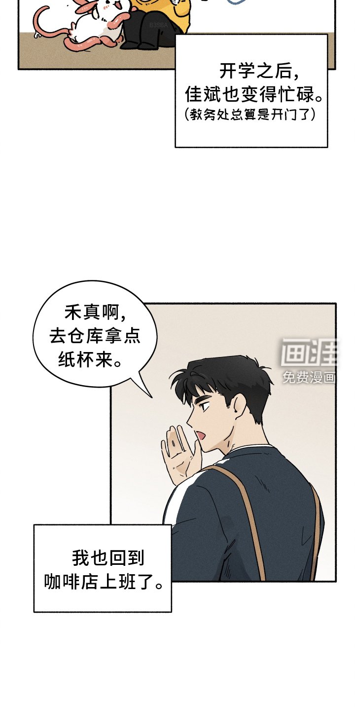 第29章：咖啡