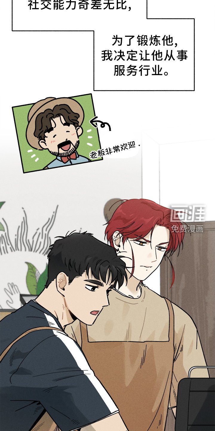 第29章：咖啡