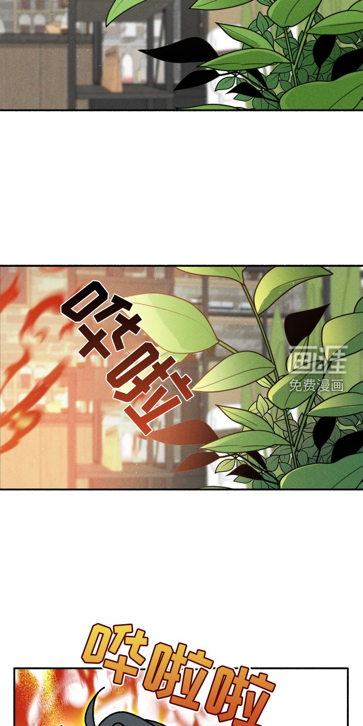 第29章：咖啡