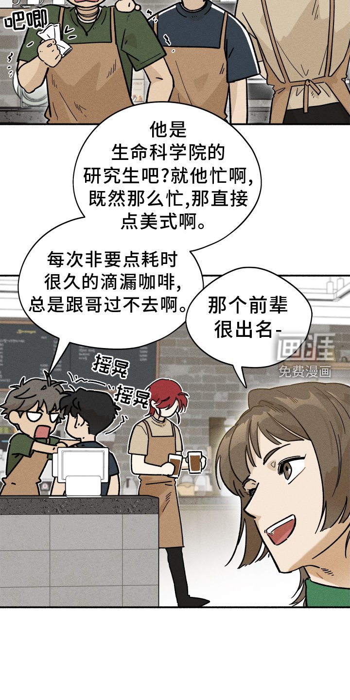 第29章：咖啡