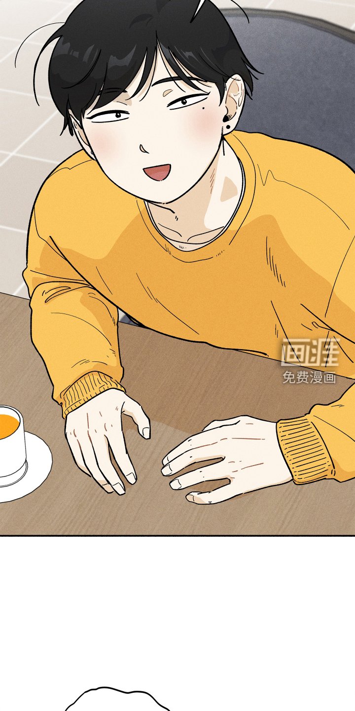 第31章：搜索