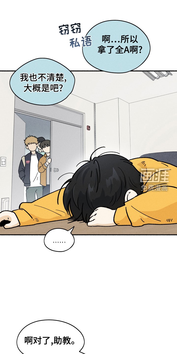 第31章：搜索
