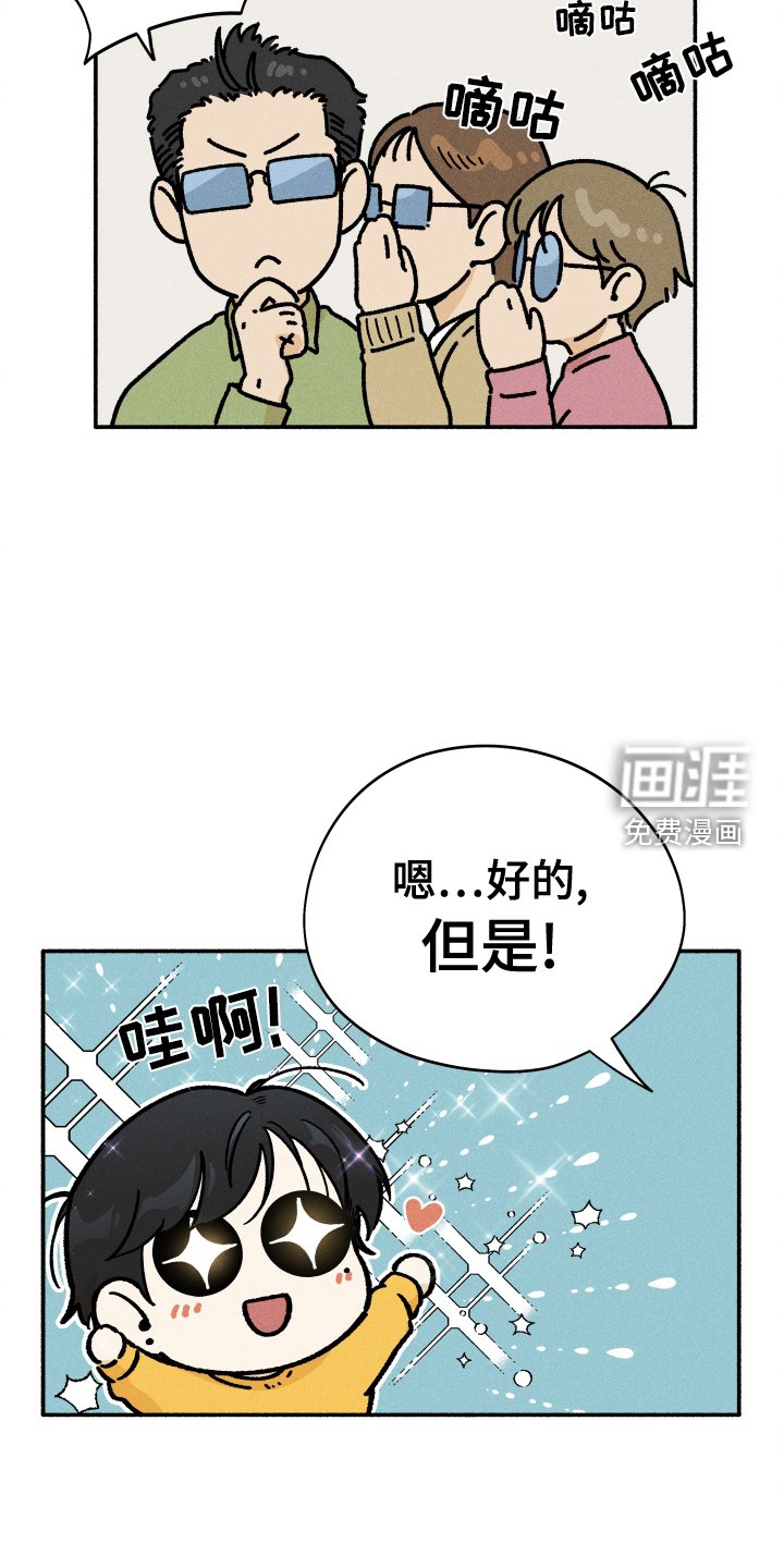 第31章：搜索