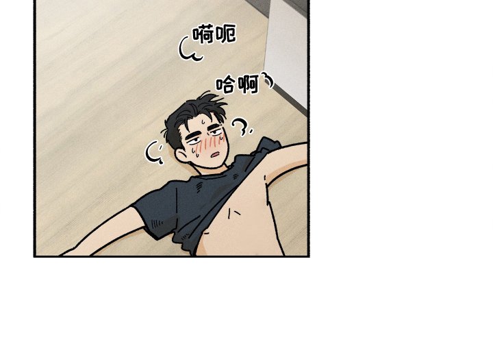 第31章：搜索