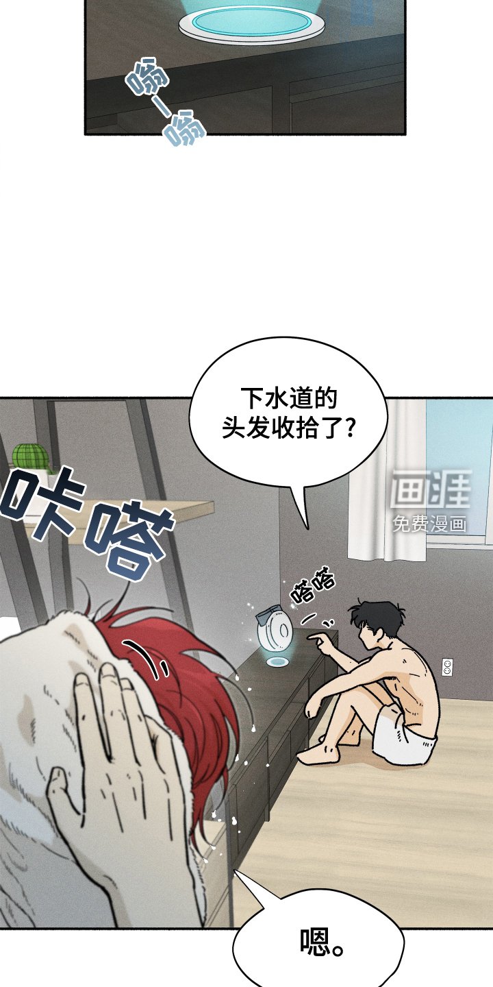 第31章：搜索
