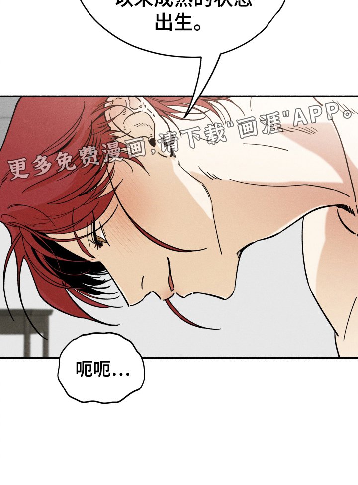 第31章：搜索
