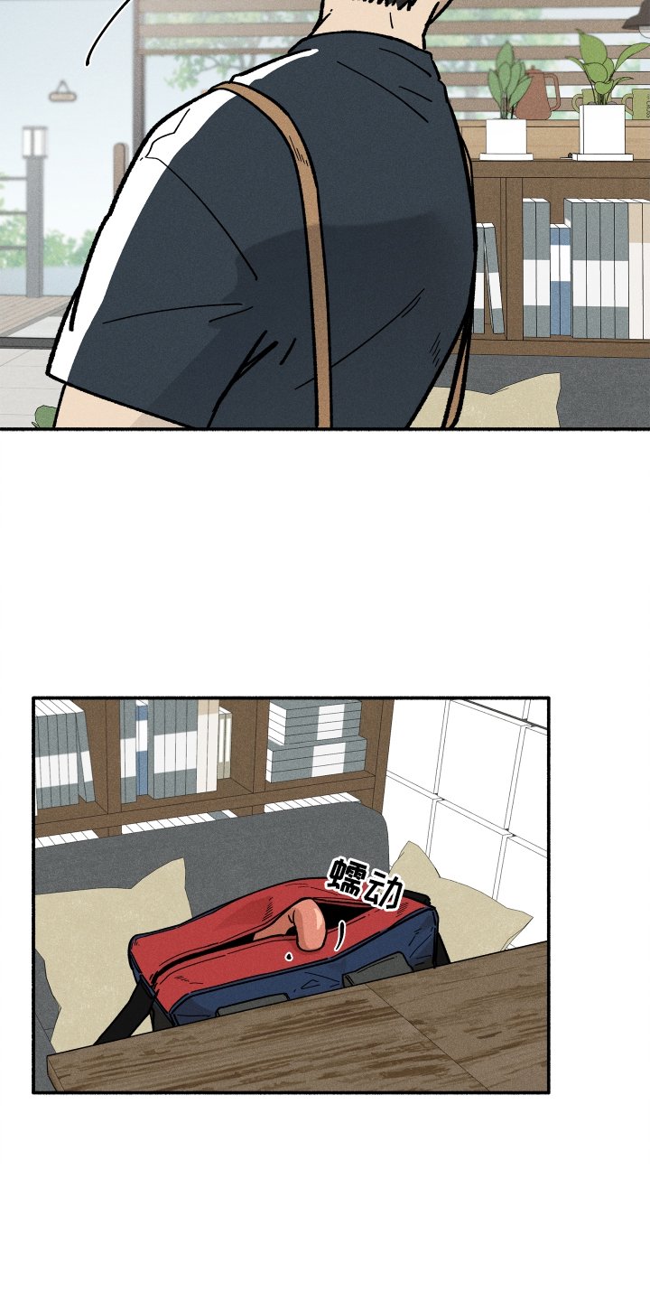 第32章：照片