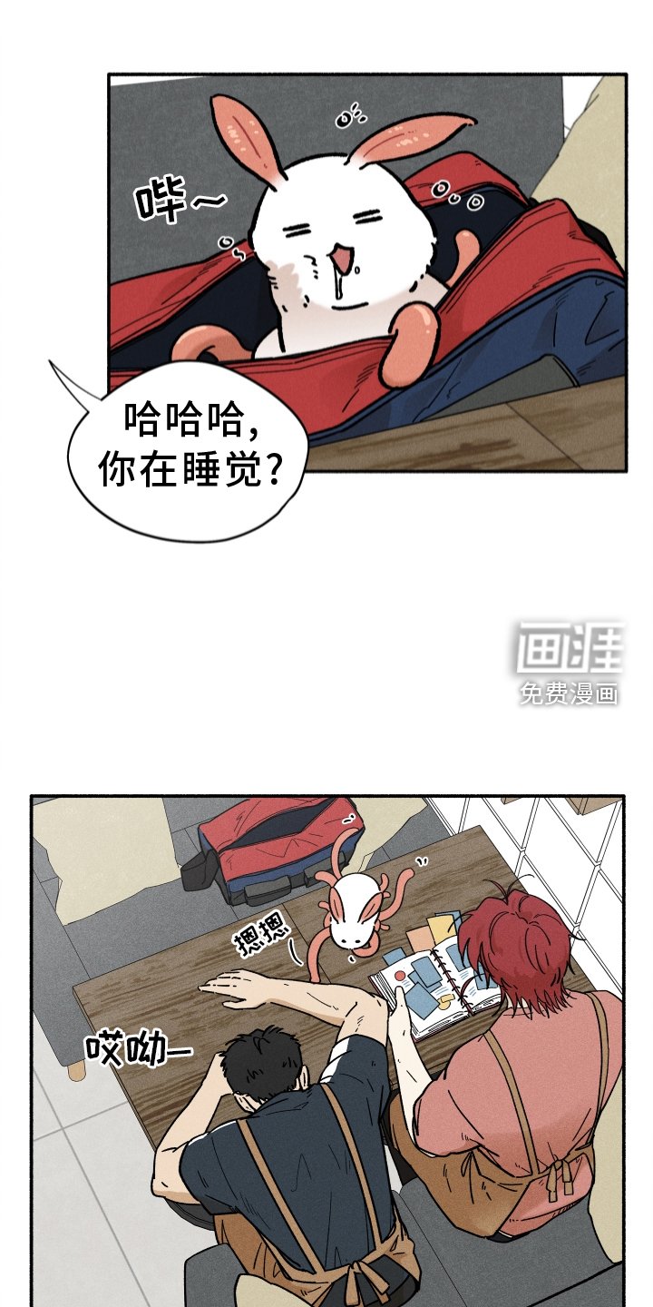 第32章：照片