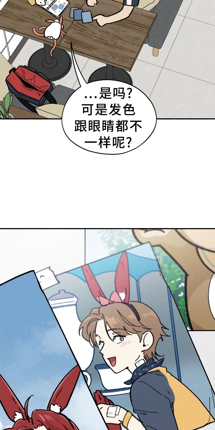 第32章：照片