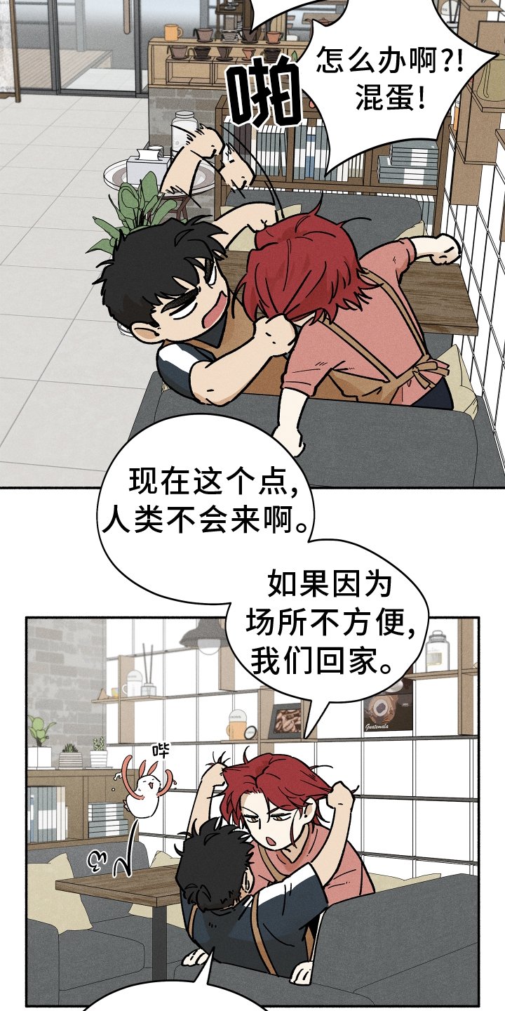 第33章：窃喜