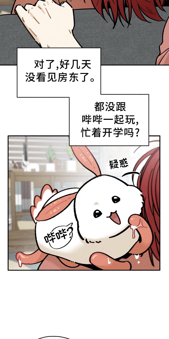 第33章：窃喜