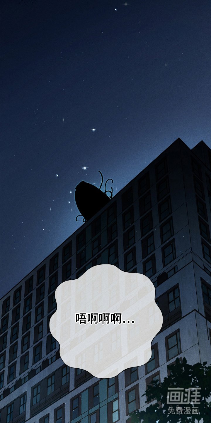 第85章：【第二季】第一次见面
