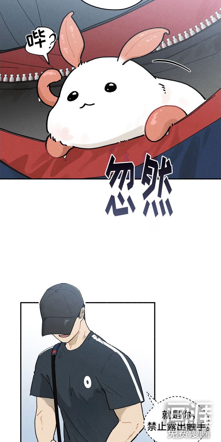 第9章：感觉不一样