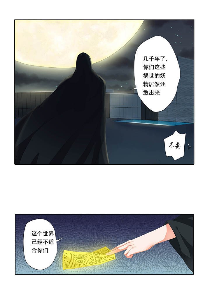 第12章：