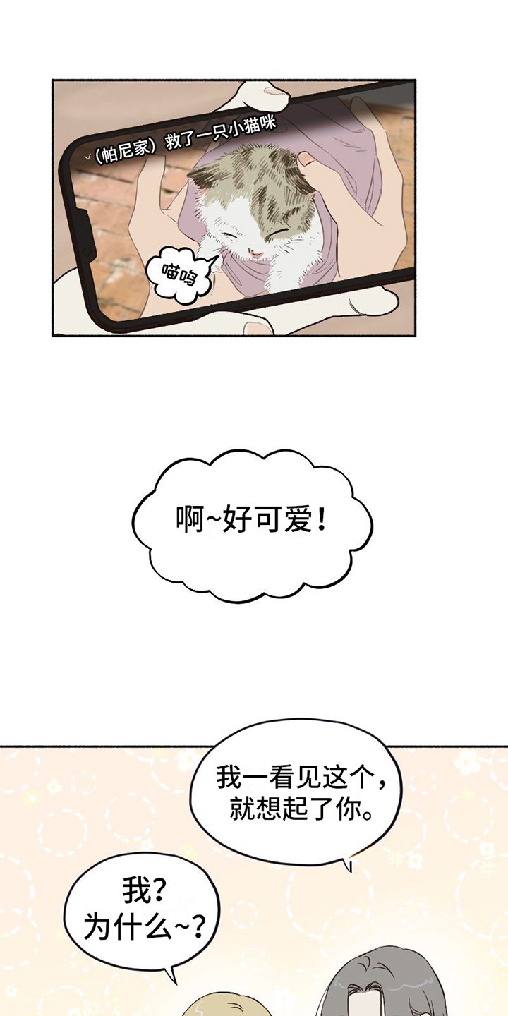 第1章：单纯