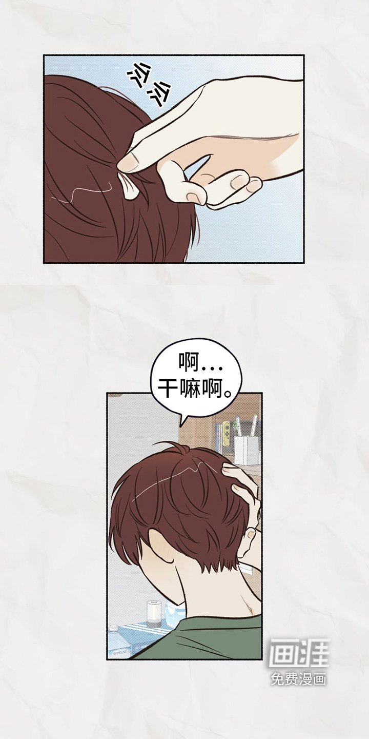 第18章：态度
