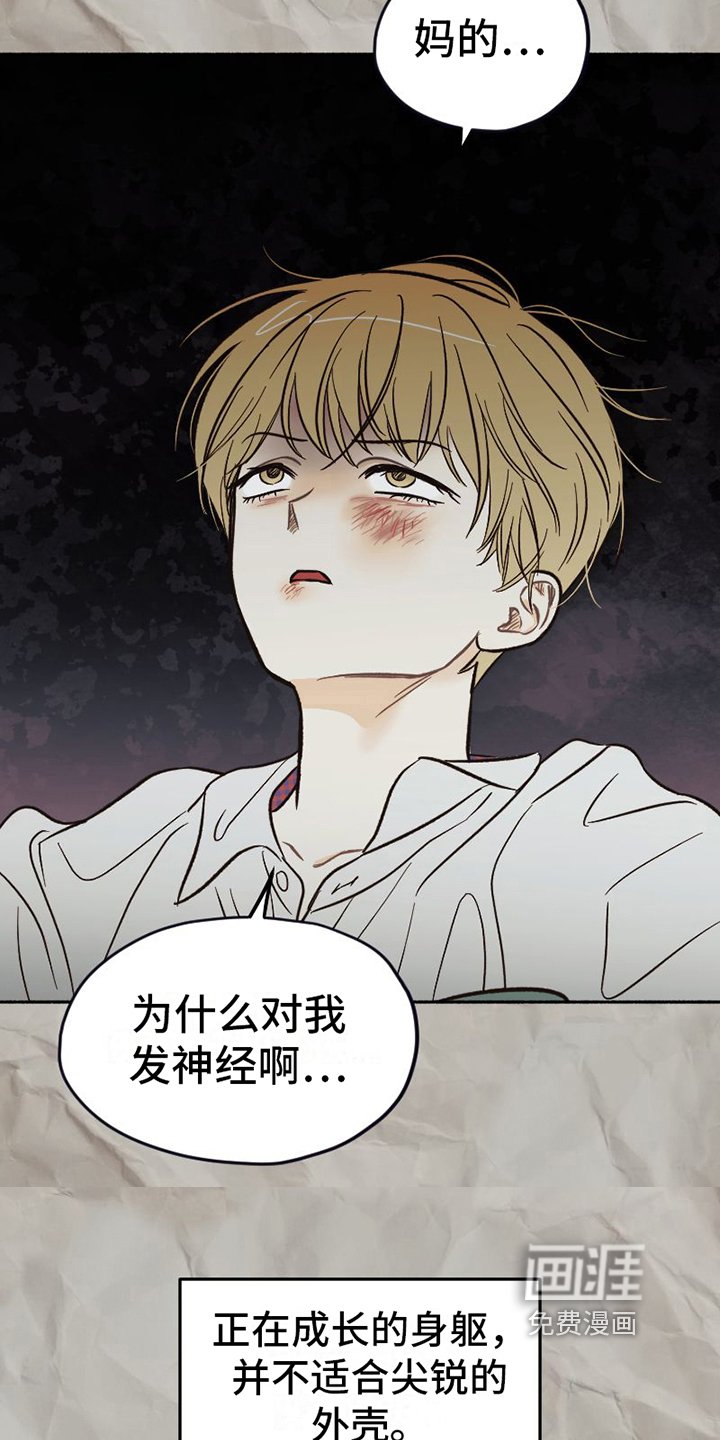 第21章：面具