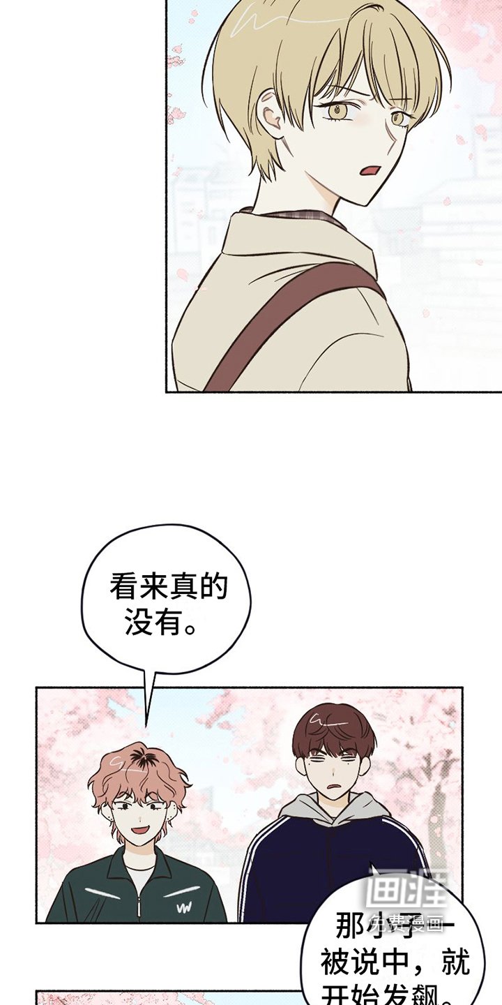 第7章：关怀