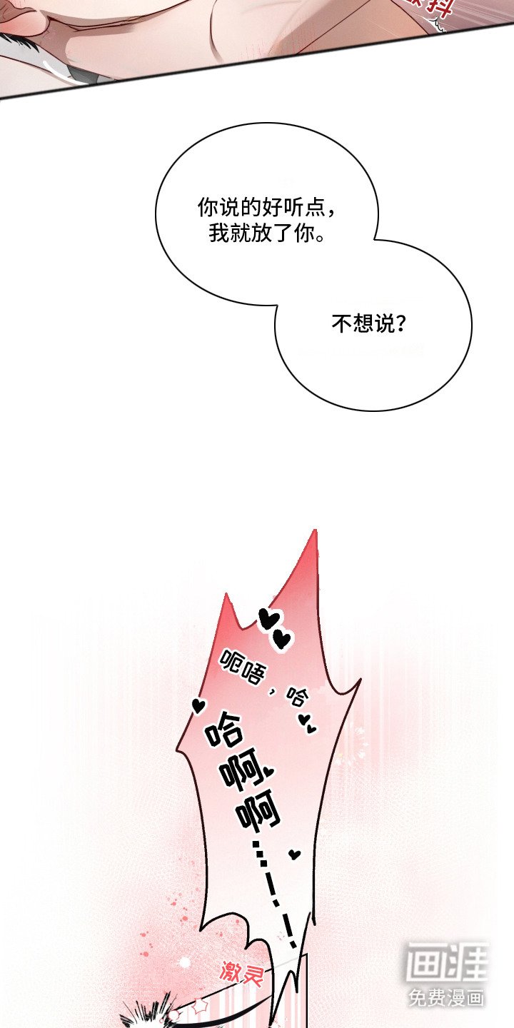 第1章：检测结果