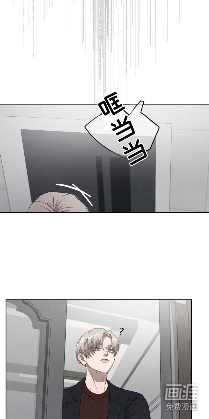 第12章：相册