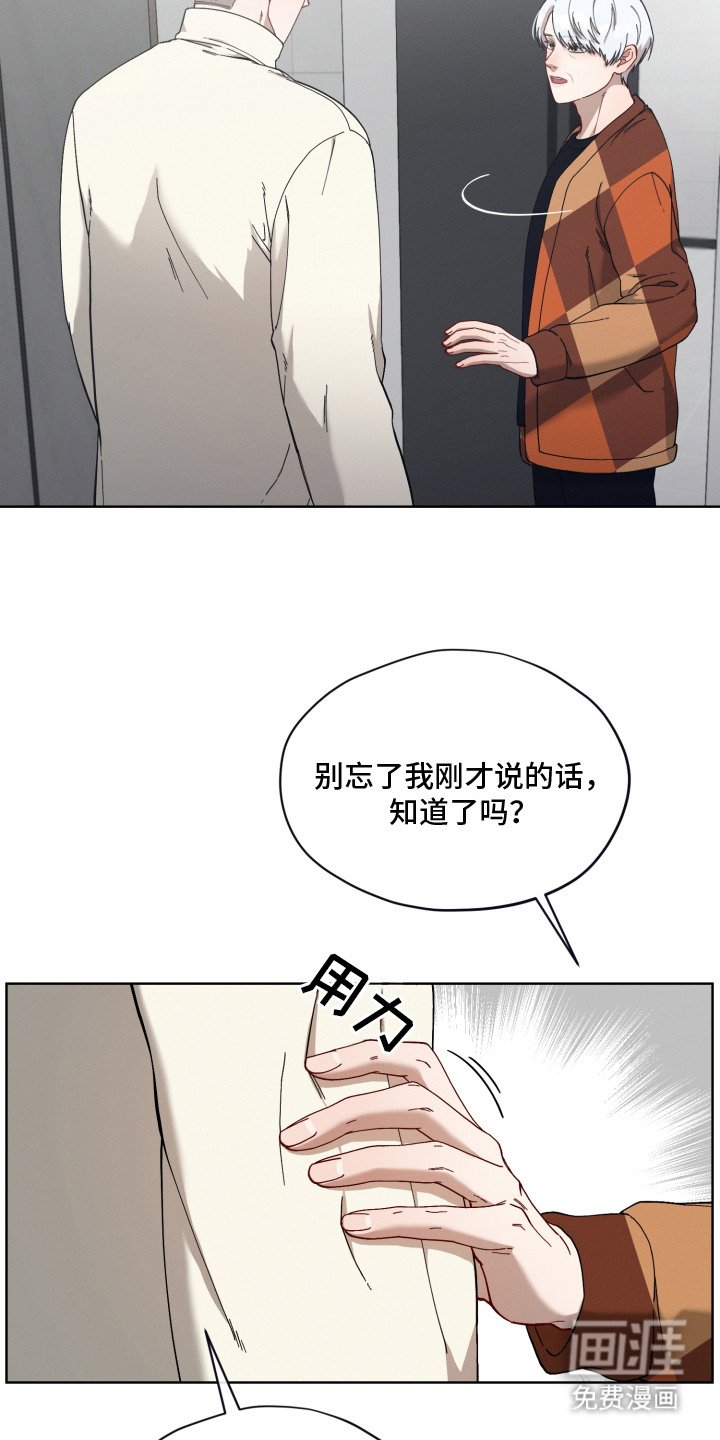 第19章：怀孕了