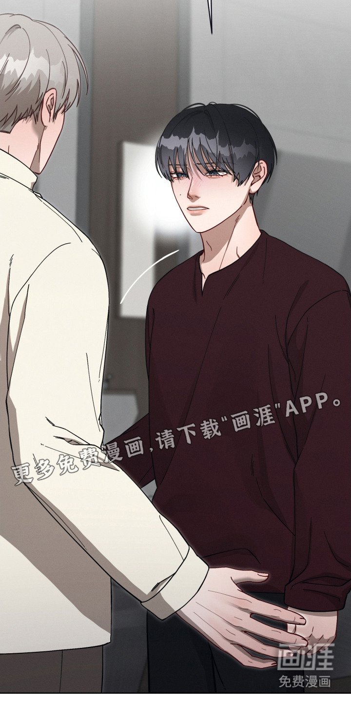 第19章：怀孕了