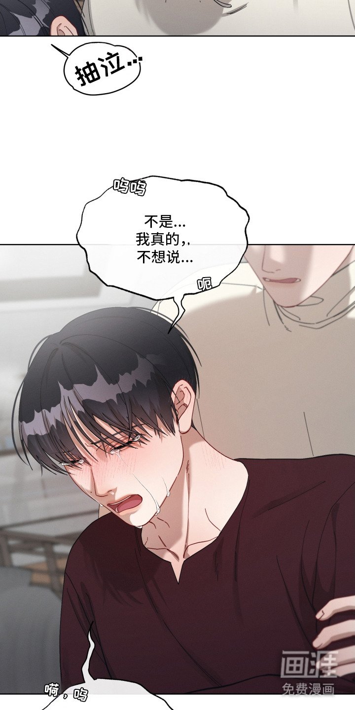 第19章：怀孕了
