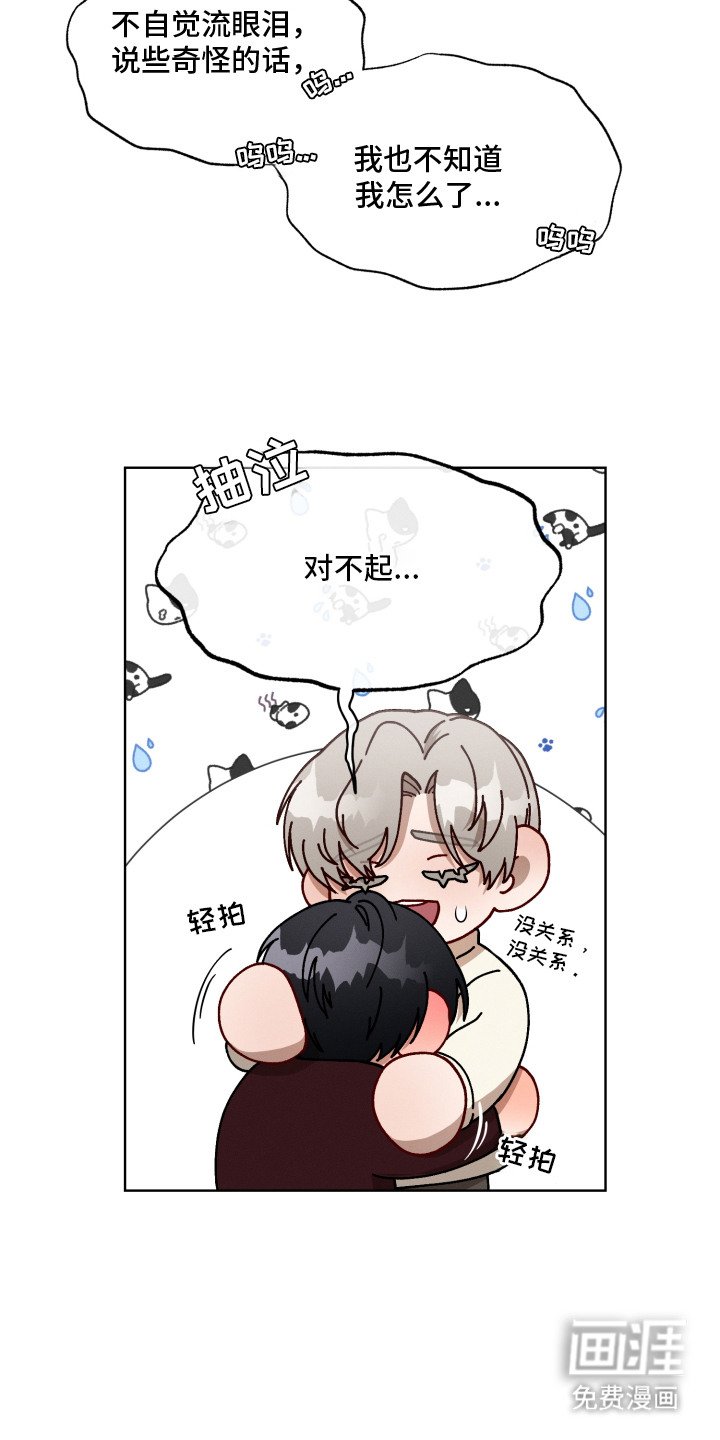 第19章：怀孕了