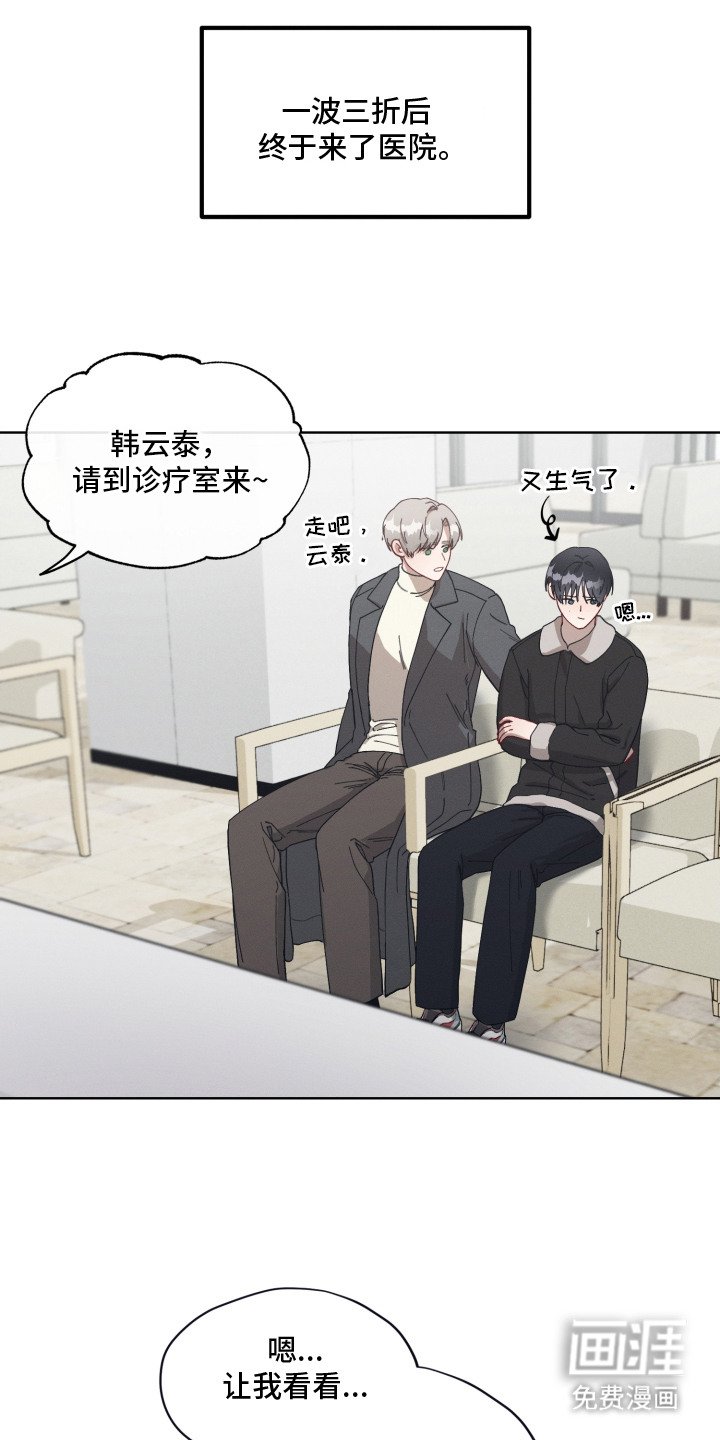 第19章：怀孕了