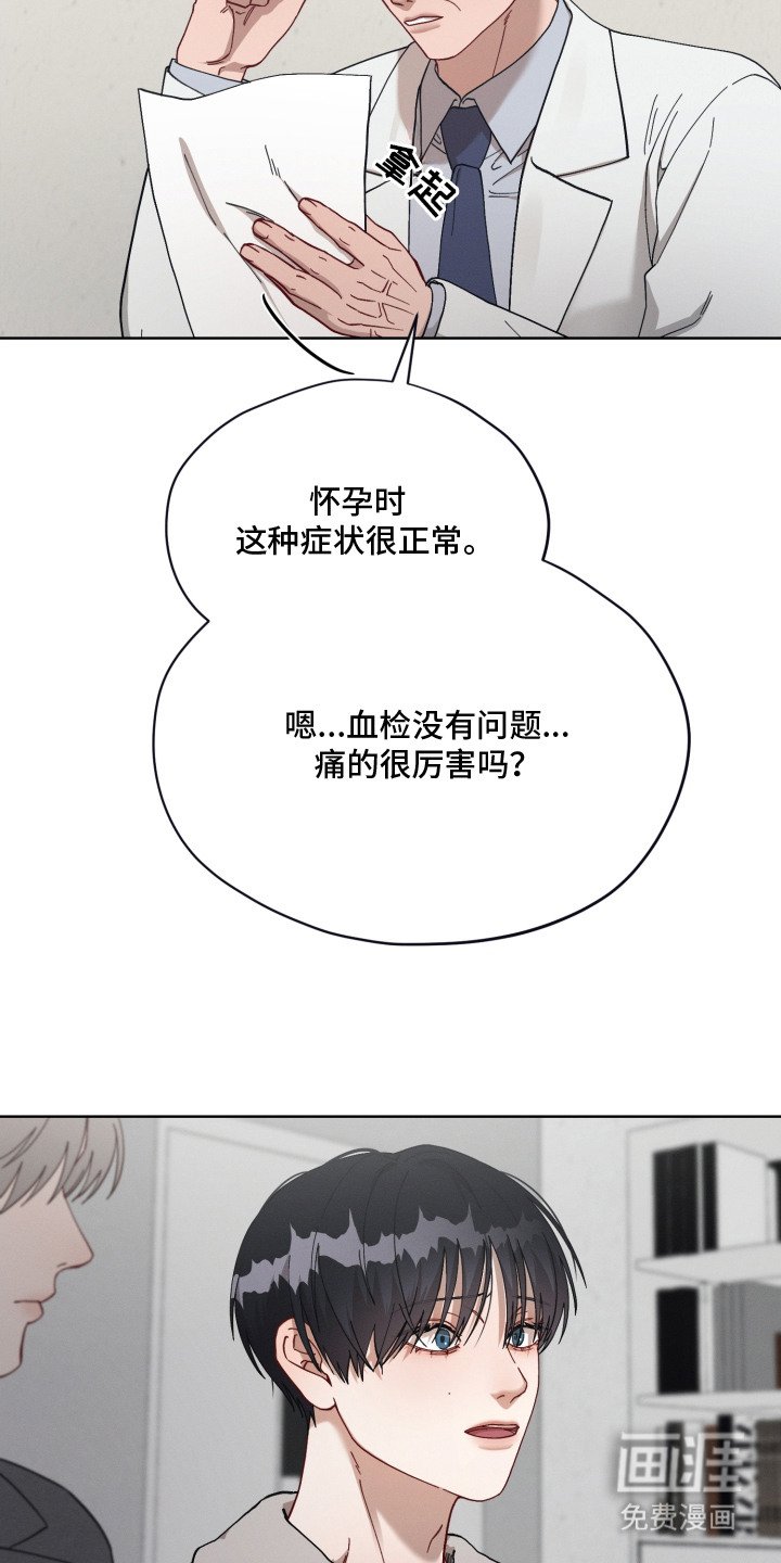 第19章：怀孕了