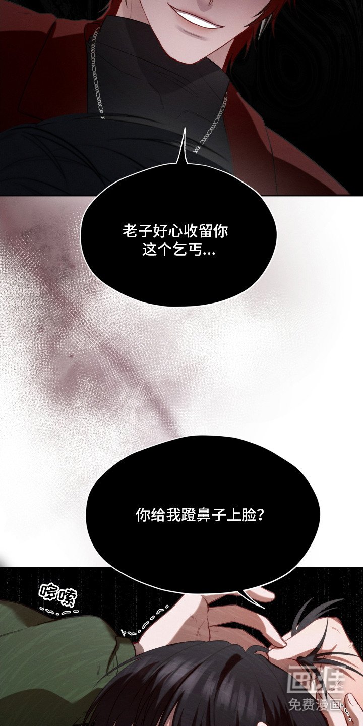 第4章：字面意思