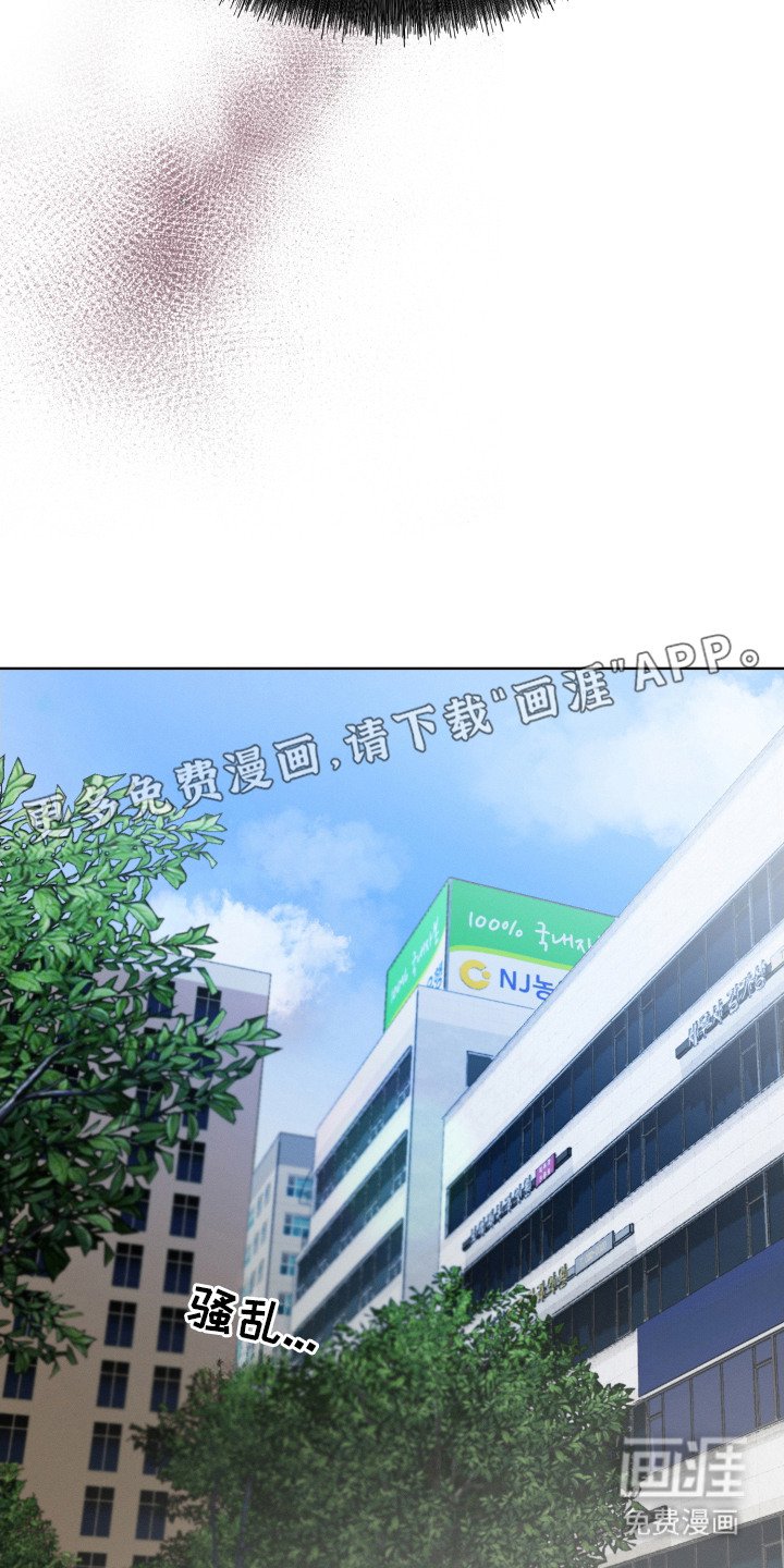 第4章：字面意思