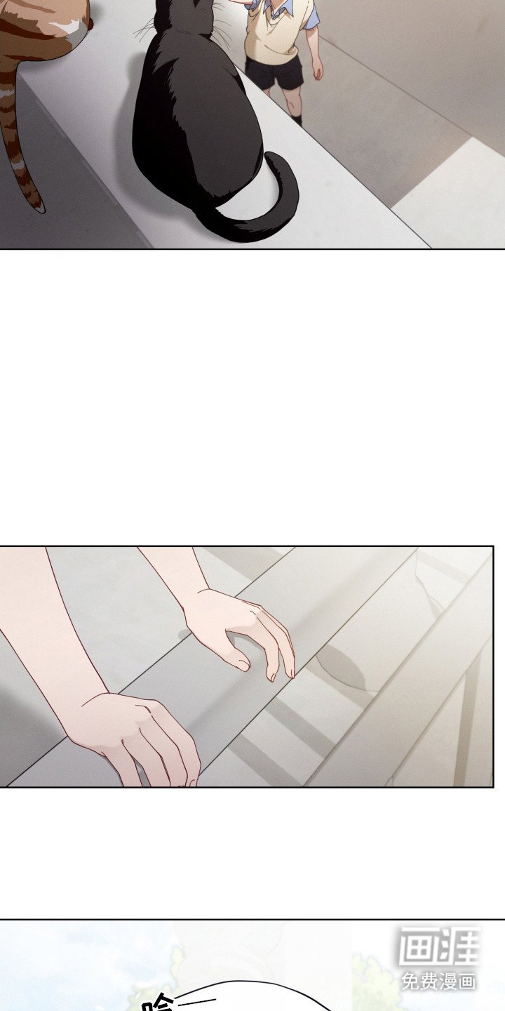 第9章：一模一样